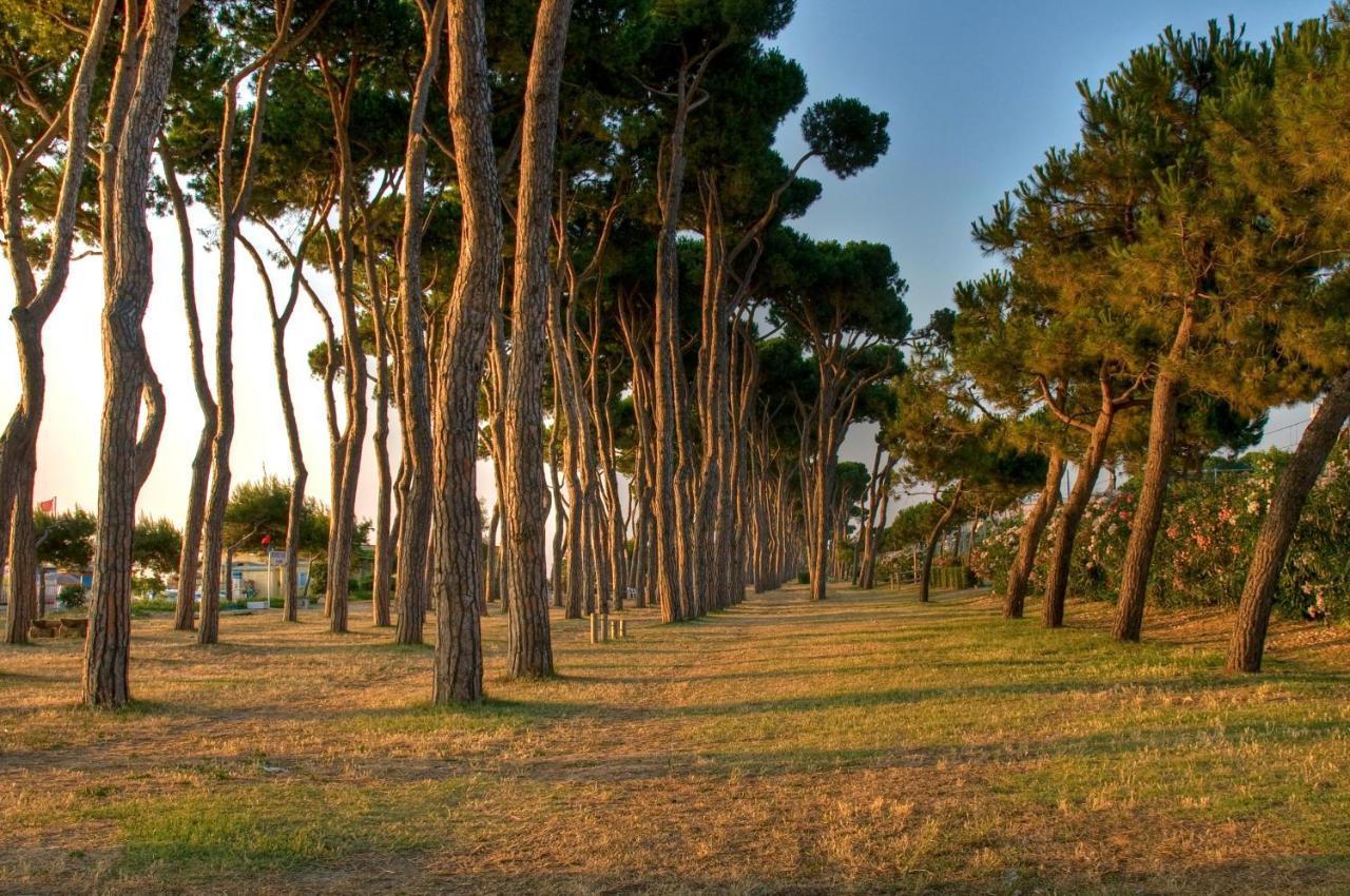 Green Bay Village Pineto Buitenkant foto
